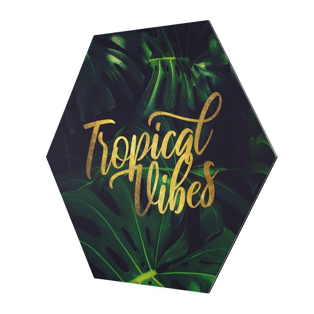 Tavlor Jungle - Tropical Vibes