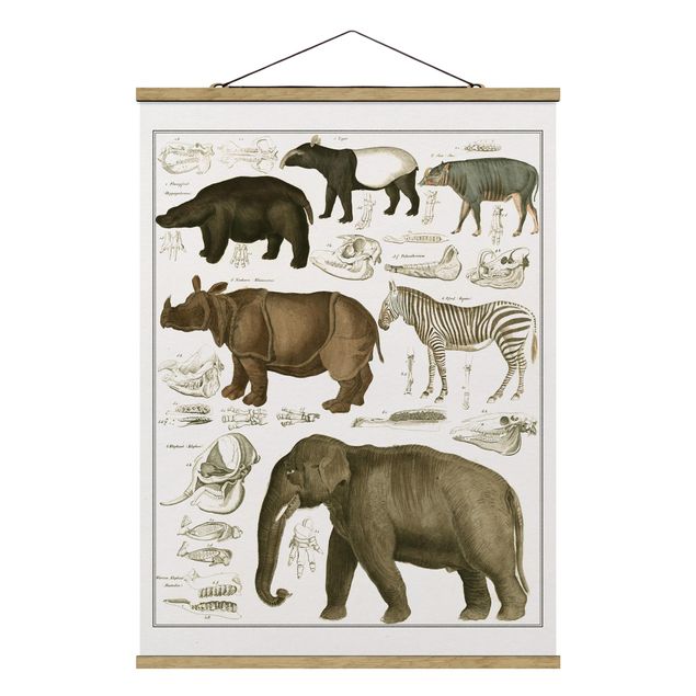 Tavlor landskap Vintage Board Elephant, Zebra And Rhino