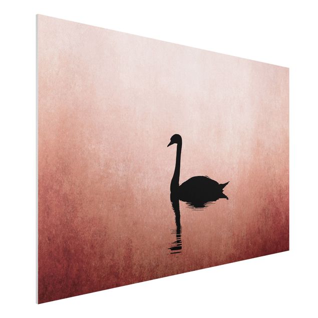 Kök dekoration Swan In Sunset