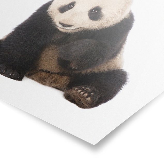 Tavlor modernt Panda Paws