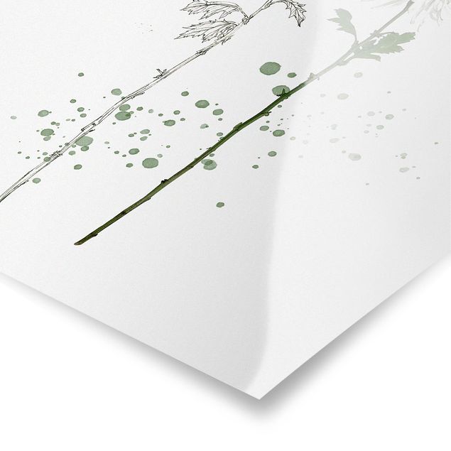 Tavlor blommor  Botanical Watercolour - Dandelion