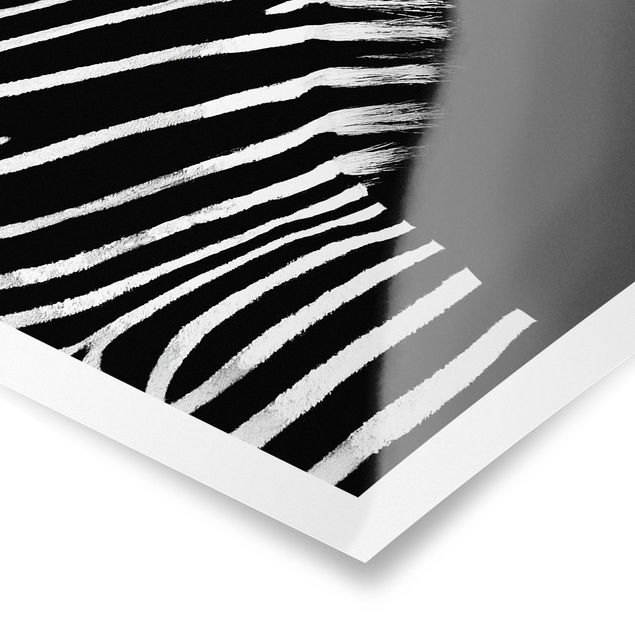 Tavlor svart och vitt Zebra Safari Art