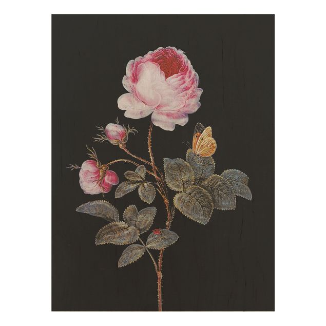 Konstutskrifter Barbara Regina Dietzsch - The Hundred-Petalled Rose