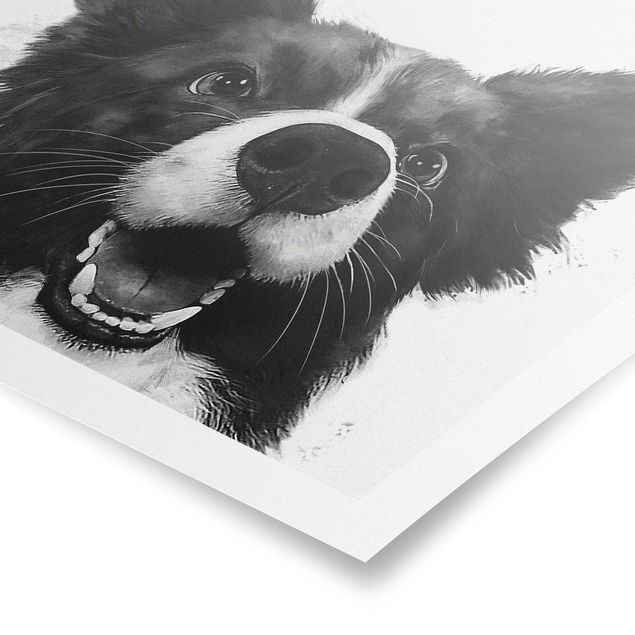 Posters djur Illustration Dog Border Collie Black And White Painting