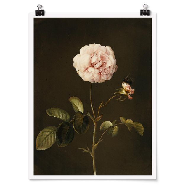 Posters blommor  Barbara Regina Dietzsch - French Rose With Bumblbee