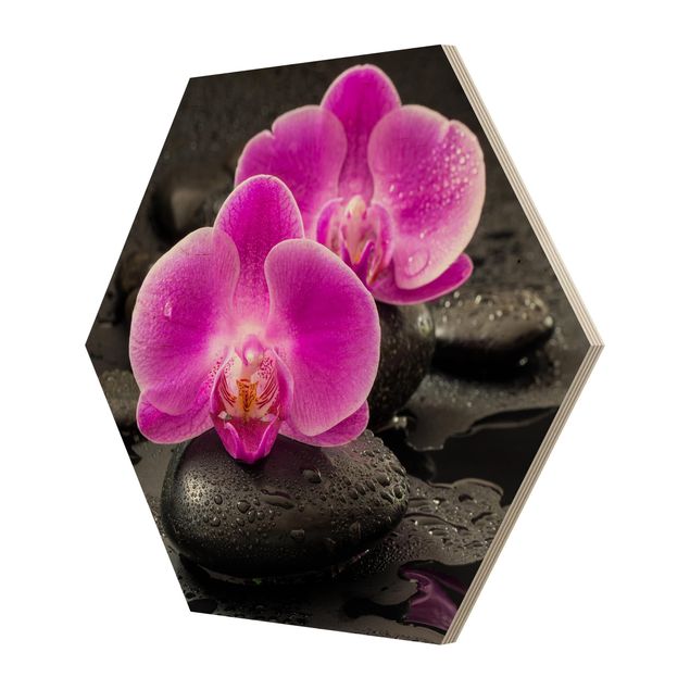 Tavlor Uwe Merkel Pink Orchid Flowers On Stones With Drops