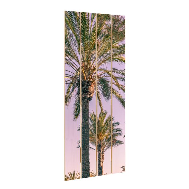 Tavlor Palm Trees At Sunset
