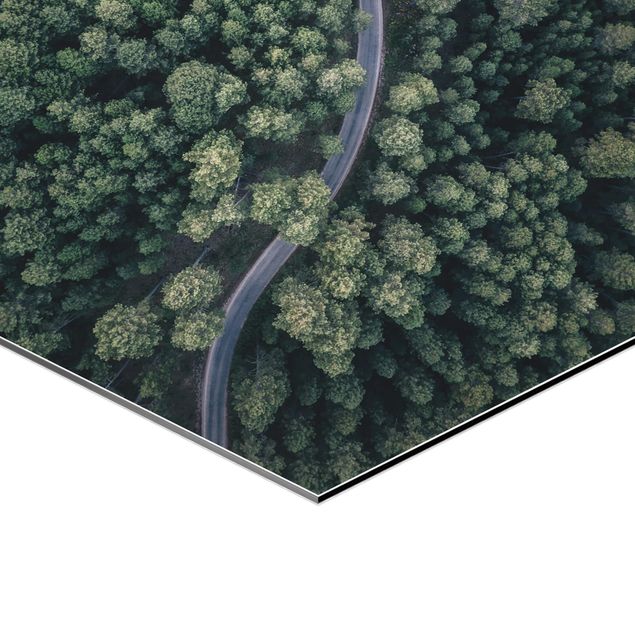 Hexagonala tavlor Aerial View - Forest Road From The Top