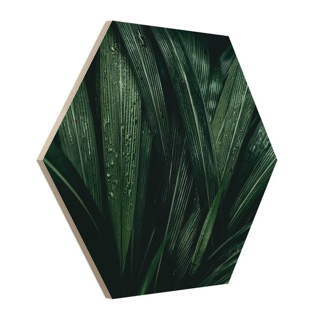 Hexagonala tavlor Green Palm Leaves
