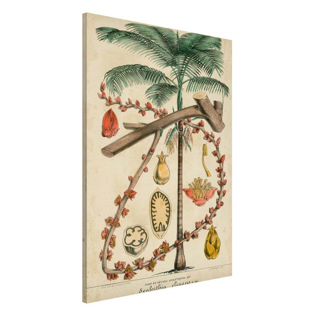 Kök dekoration Vintage Board Exotic Palms II