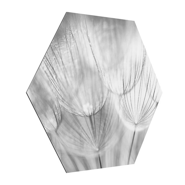 Tavlor modernt Dandelions Macro Shot In Black And White