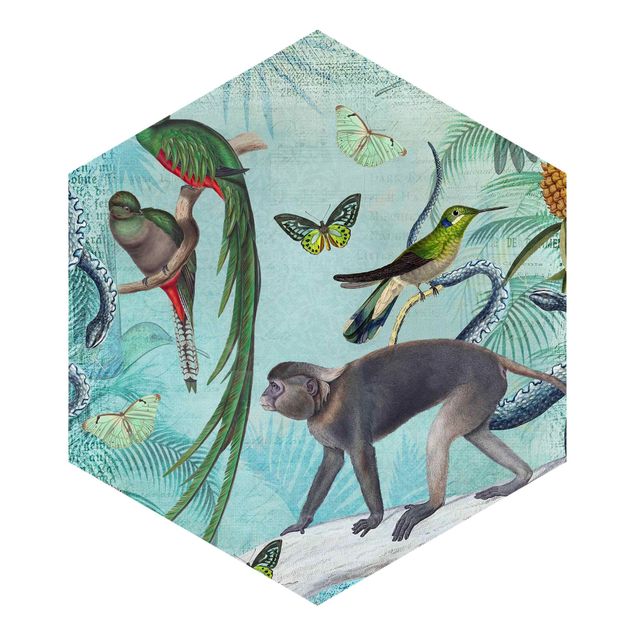 Hexagonala tapeter Colonial Style Collage - Monkeys And Birds Of Paradise