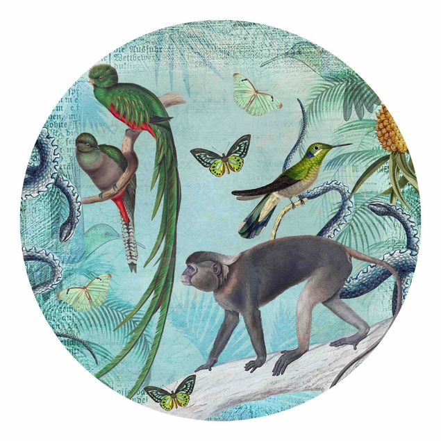 Fototapeter blommor  Colonial Style Collage - Monkeys And Birds Of Paradise