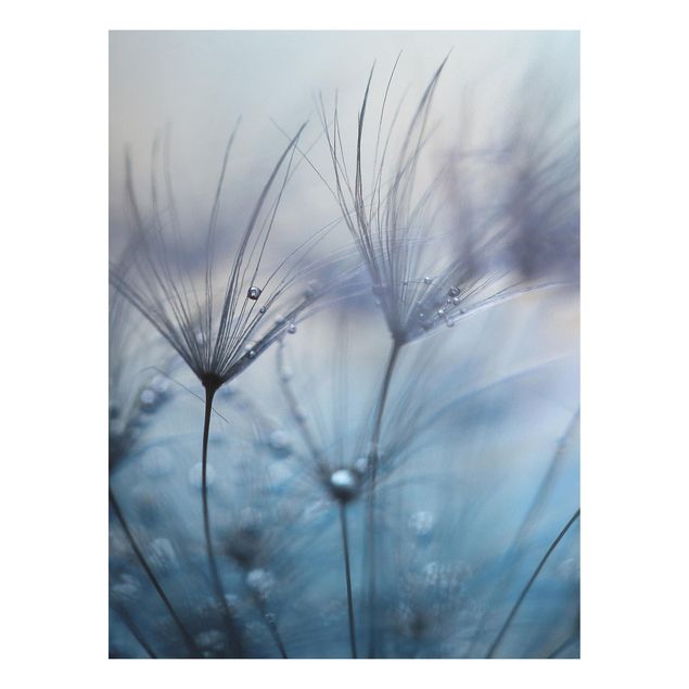 Tavlor blommor Blue Feathers In The Rain