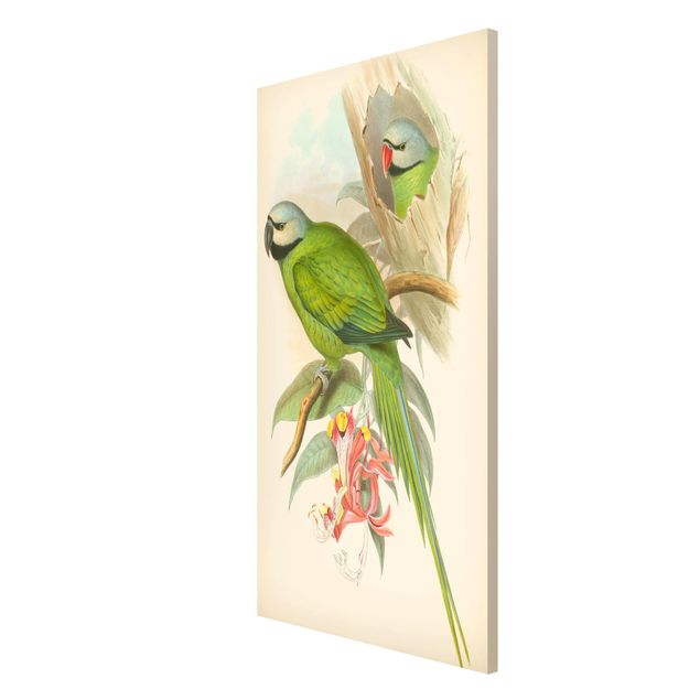 Tavlor blommor Vintage Illustration Tropical Birds II