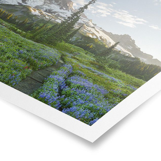 Posters blommor  Mountain View Meadow Path