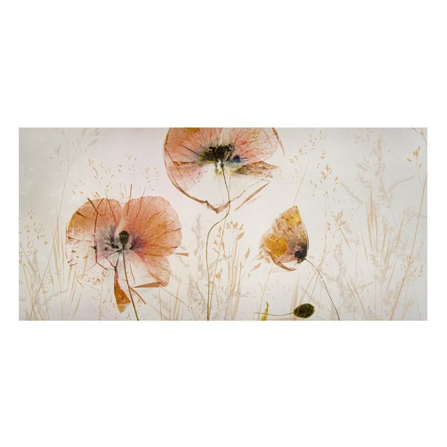 Kök dekoration Dried Poppy Flowers With Delicate Grasses