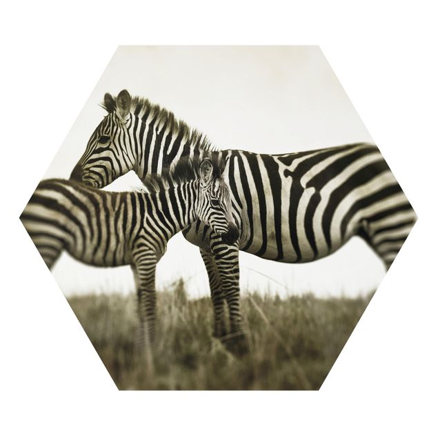 Tavlor djur Zebra Couple