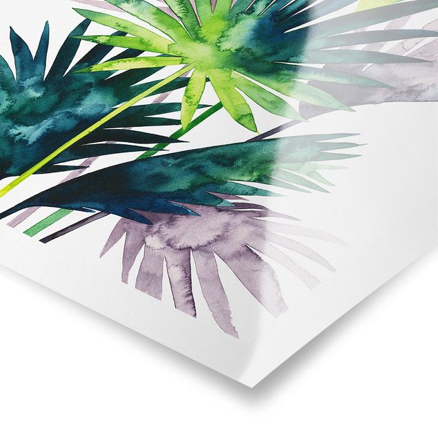 Tavlor Exotic Foliage - Fan Palm