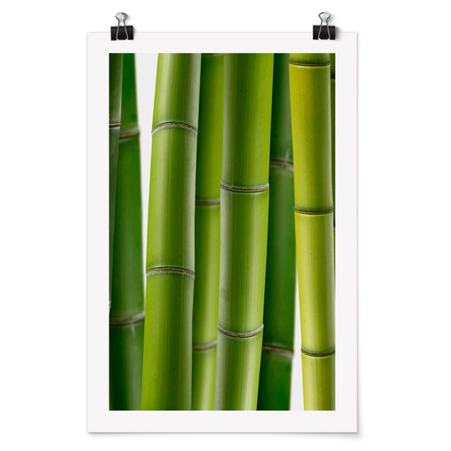 Tavlor landskap Bamboo Plants