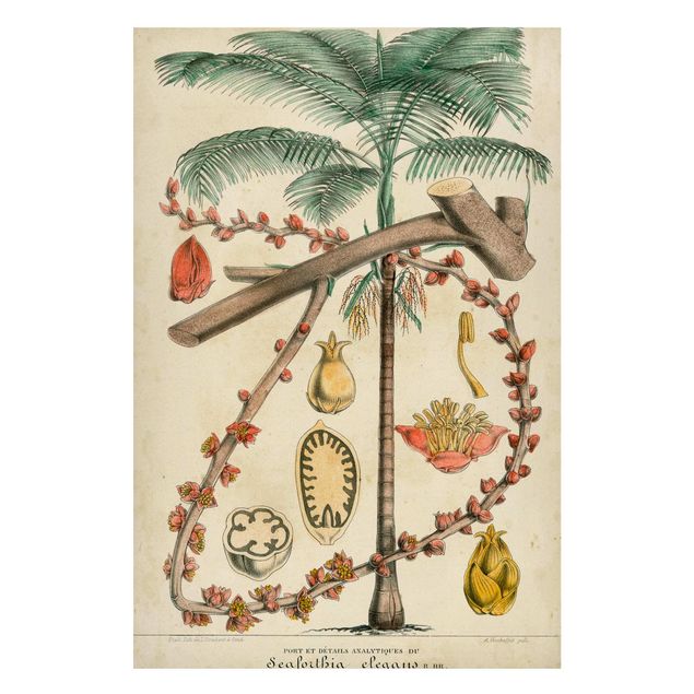 Tavlor landskap Vintage Board Exotic Palms II
