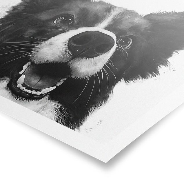 Posters djur Illustration Dog Border Collie Black And White Painting