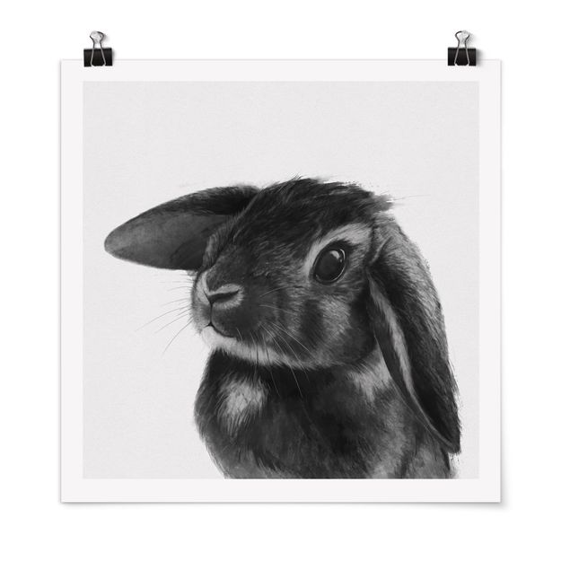 Posters djur Illustration Rabbit Black And White Drawing