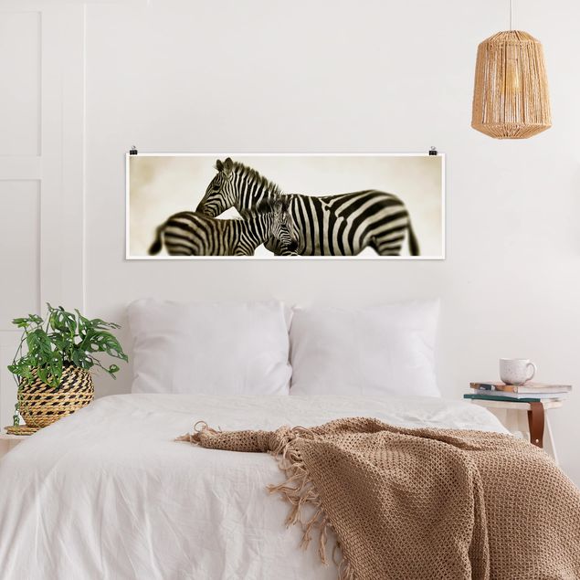 Tavlor zebror Zebra Couple
