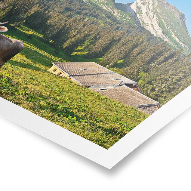 Tavlor landskap Swiss Alpine Meadow With Cow