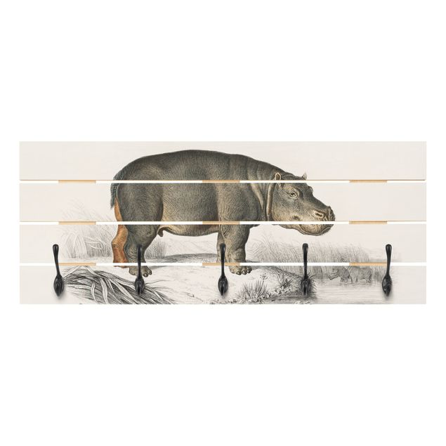 Klädhängare vägg grått Vintage Board Hippo