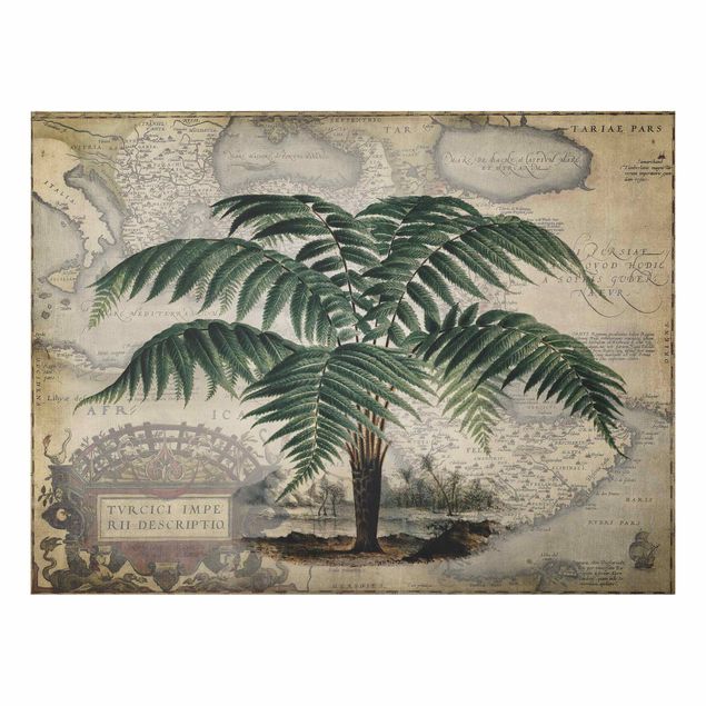 Tavlor landskap Vintage Collage - Palm And World Map