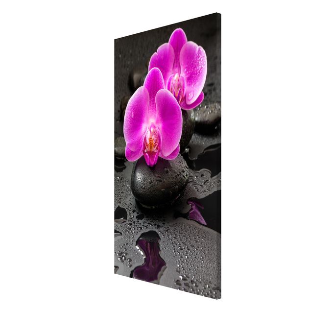 Magnettavla blommor  Pink Orchid Flower On Stones With Drops