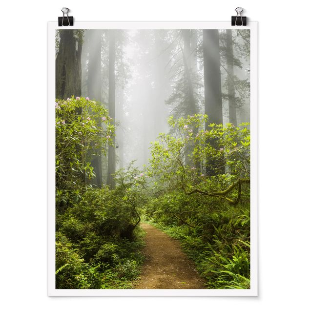 Posters landskap Misty Forest Path