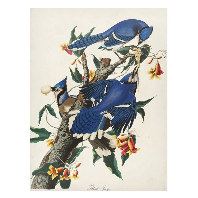Magnettavla blommor  Vintage Board Blue Jays