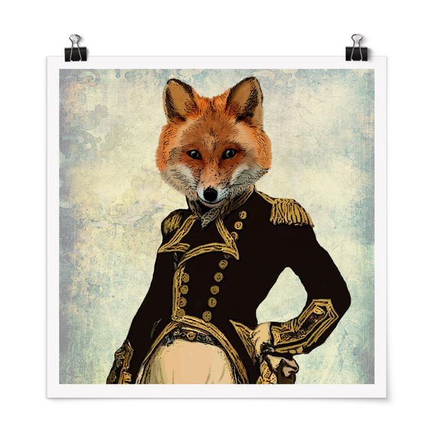 Posters djur Animal Portrait - Fox Admiral