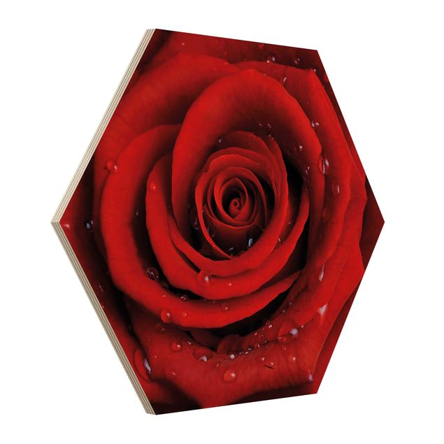 Hexagonala tavlor Red Rose With Water Drops