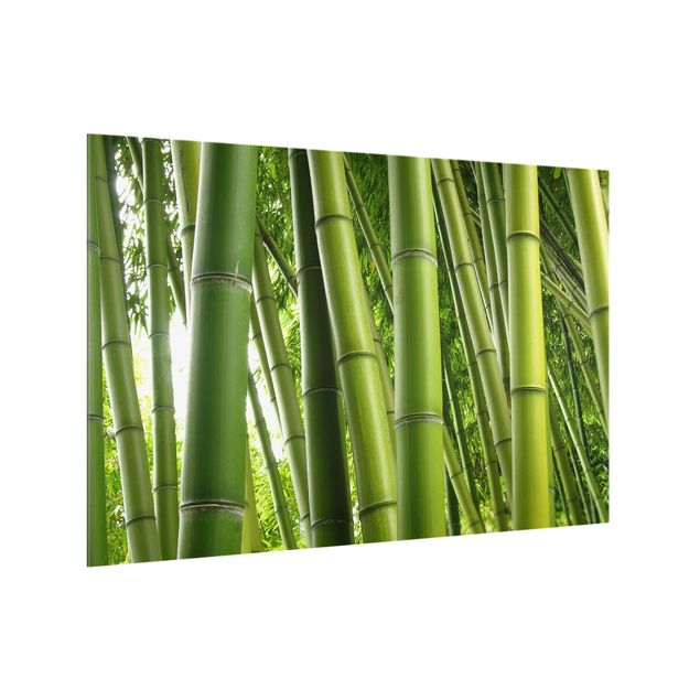 glasskivor kök Bamboo Trees