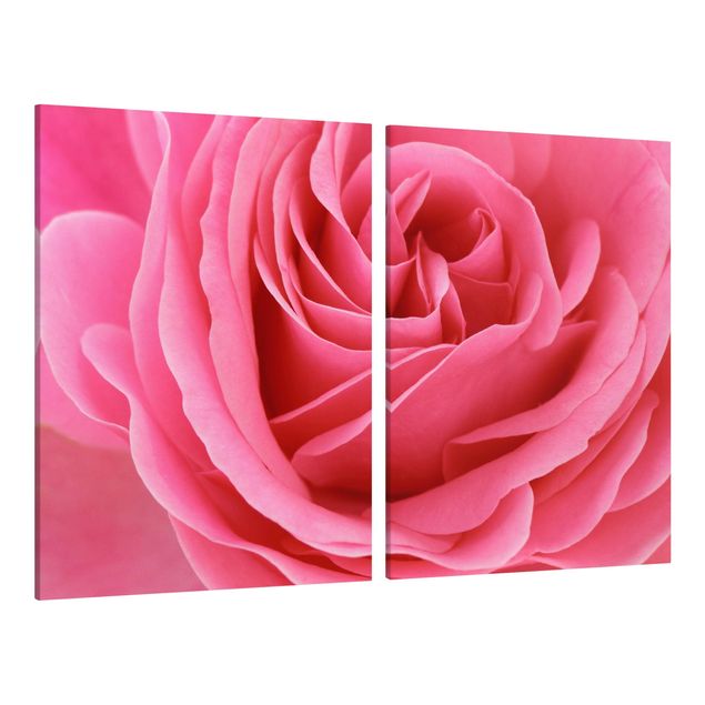 Tavlor blommor Lustful Pink Rose