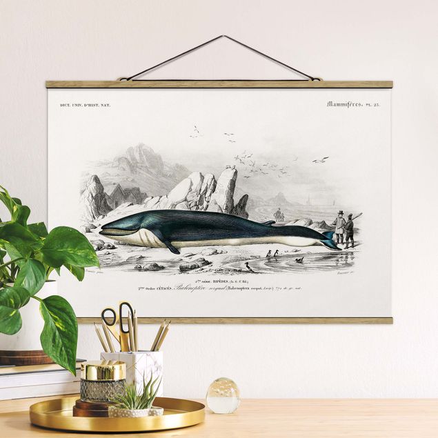 Kök dekoration Vintage Board Blue Whale