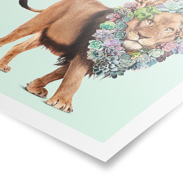 Posters blommor  Lion With Succulents