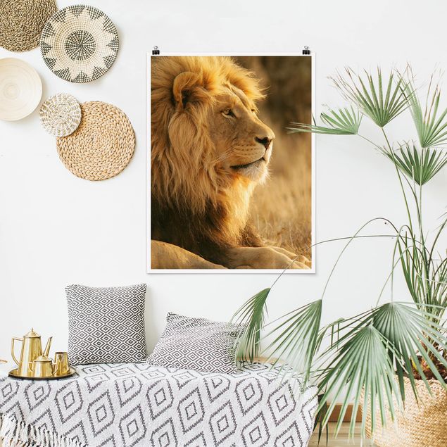 Tavlor lejon King Lion