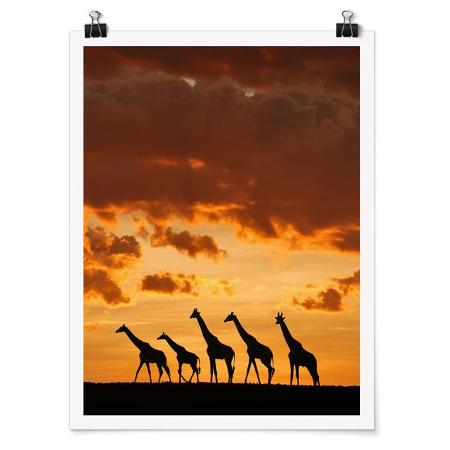 Tavlor Afrika Five Giraffes
