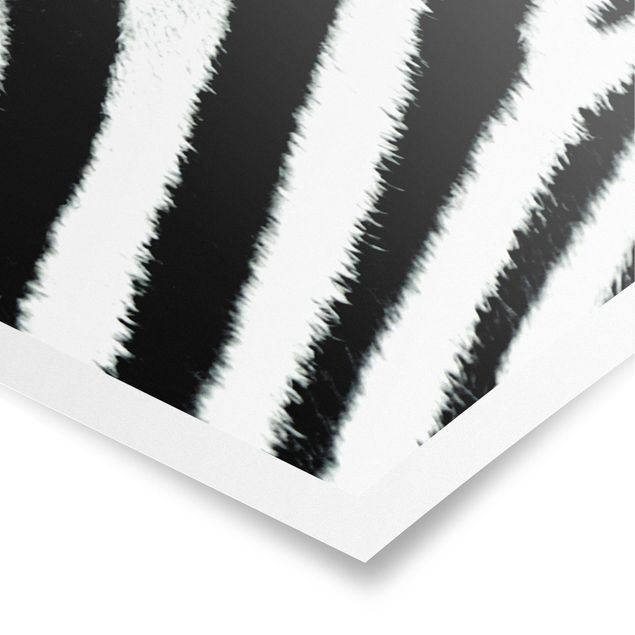 Tavlor mönster Zebra Crossing