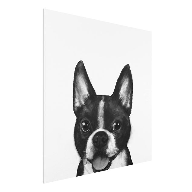 Tavlor hundar Illustration Dog Boston Black And White Painting