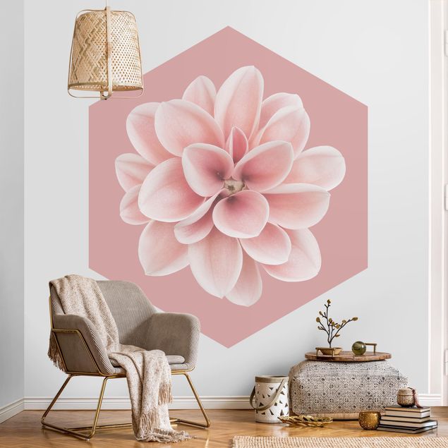 Hexagonala tapeter Dahlia On Blush Pink