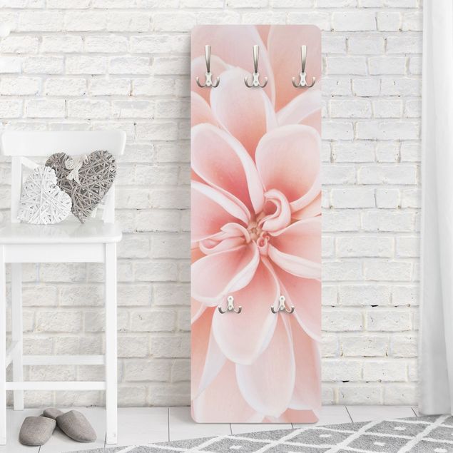 Klädhängare vägg blommor  Dahlia In Pastel Pink