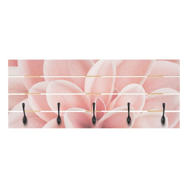 Klädhängare vägg rosa Dahlia Pink Petals Detail