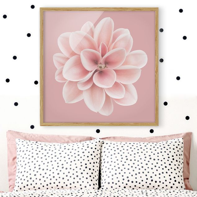 Kök dekoration Dahlia Pink Blush Flower Centered