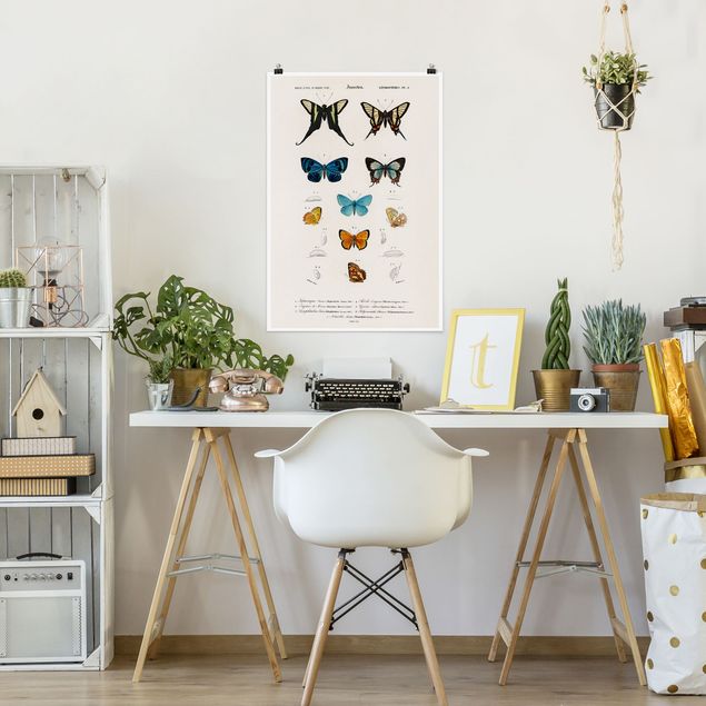 Tavlor fjärilar Vintage Board Butterflies I