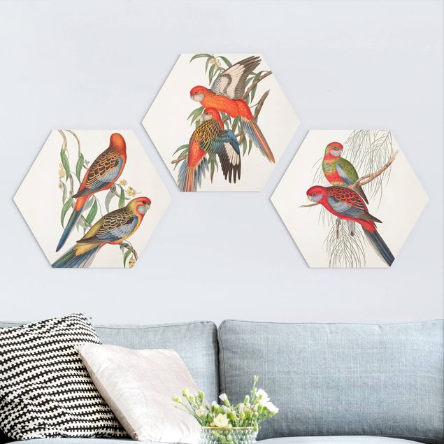 Kök dekoration Tropical Parrot Set I
